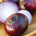 Onion Red Zeppelin