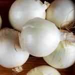 Onion White Spanish